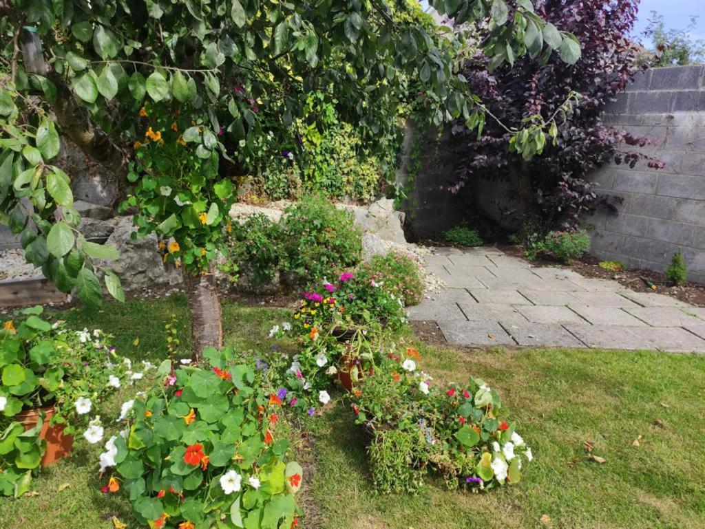 Glensheen Ennis Zewnętrze zdjęcie
